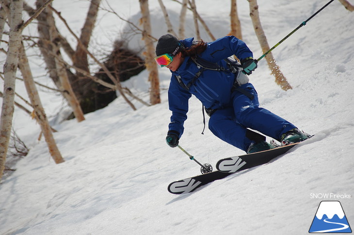 DYNASTAR SKI series Test Ride Days 2017 in ニセコユナイテッド【Day.1】～ニセコグラン・ヒラフ～